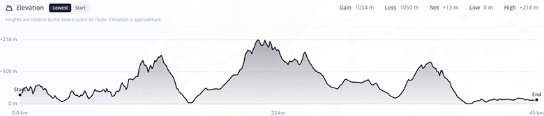 An image of a graph showing elevation of a route